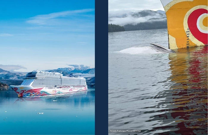 Norwegian Joy in Alaska and whale on the bow of ship