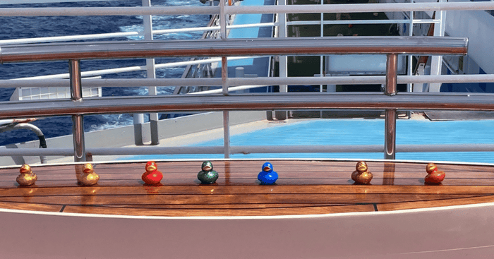 Bright coloured ducks sitting on an upper cruise ship deck
