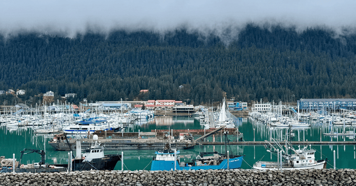 Seward from the cruise port