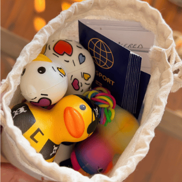 Voyage Ready Cruising Duck Pack (10 Squishy Ducks + Passports)
