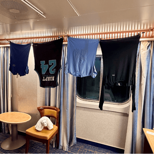 Voyage Ready Cruise Cabin Laundry Kit